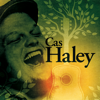 Cas Haley (Bonus Track Version) - Cas Haley