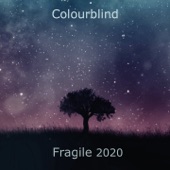 Fragile 2020 artwork