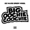 Big Oochie Coochie - Icewater Speedy Wheel lyrics