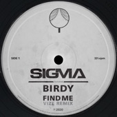 Find Me (feat. Birdy) [VIZE Remix] artwork