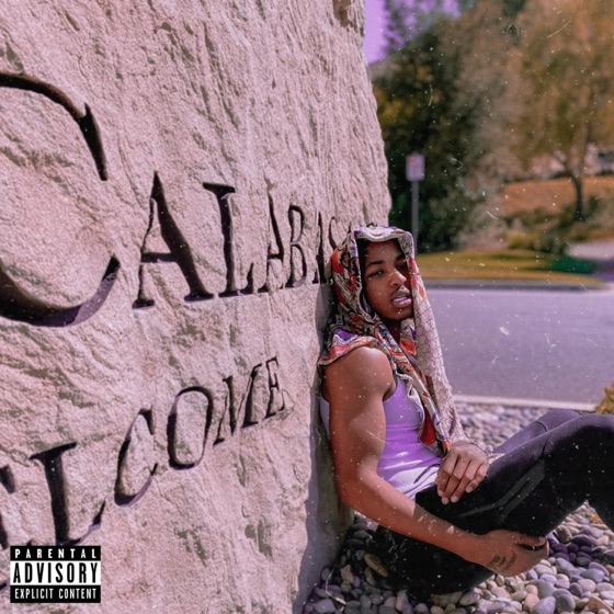Cover artwork for Moonwalking in Calabasas
