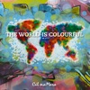 The World Is Colourful