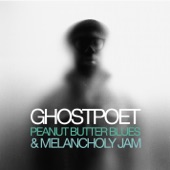 Peanut Butter Blues and Melancholy Jam artwork