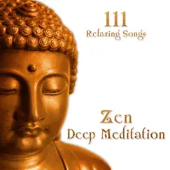 111 Relaxing Songs Zen Deep Meditation: New Age Music & Nature Sounds for Reiki, Deep Sleep, Study, Chakra Healing, Asian Spa Massage, Guided Yoga Exercises & Mindfulness by Various Artists album reviews, ratings, credits