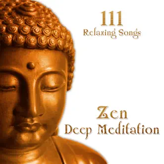 111 Relaxing Songs Zen Deep Meditation: New Age Music & Nature Sounds for Reiki, Deep Sleep, Study, Chakra Healing, Asian Spa Massage, Guided Yoga Exercises & Mindfulness by Various Artists album reviews, ratings, credits