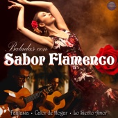 Baladas Con Sabor Flamenco artwork