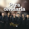 Para Olvidarla - Single