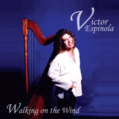 Walking On the Wind artwork