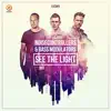 See the Light - Single album lyrics, reviews, download