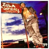 Zula II Survive artwork