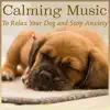Calming Music to Relax Your Dog and Stop Anxiety album lyrics, reviews, download