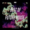 Best of Future House, Vol. 23, 2019