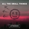 All the Small Things - Single