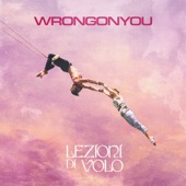 Lezioni di volo artwork