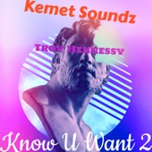 Kemet Soundz - Know U Want 2 (feat. Troy Hennesy)