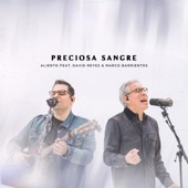 Preciosa Sangre (feat. David Reyes & Marco Barrientos) [En Vivo] artwork