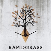 Rapidgrass - Pickin' in the Pines