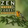 Zen Water and Forest Birdsongs - Nature Sounds For Relaxation album lyrics, reviews, download