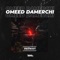 Patriot - Omeed Damerchi lyrics