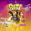 Fly Like Drone - Single album lyrics, reviews, download