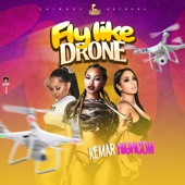 Kemar Highcon - Fly like drone