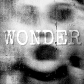 Wonder (feat. Ruelle) artwork