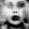 Wonder (feat. Ruelle) artwork
