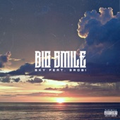 Big Smile (feat. 3robi) artwork