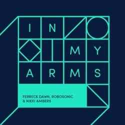 Ferreck Dawn - In My Arms (Vocal Mix)