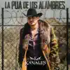 La Pua de los Alambres - Single album lyrics, reviews, download