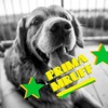 Prima Mruff