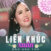 Liên Khúc Xuân - EP artwork