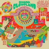 Shana Cleveland - A New Song