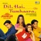 Dil Hai Tumhaara (Jhankar) artwork