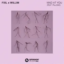 Mad At You (feat. Pillows) Song Lyrics