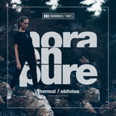 Thermal (Extended Mix) artwork