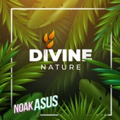 Divine Nature artwork