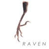 RAVEN