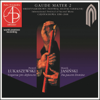 Gaude Mater 2 - International Festival o Sacred Music - Various Artists