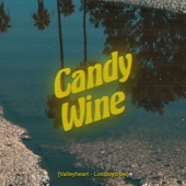 Lostboycrow - Candy Wine