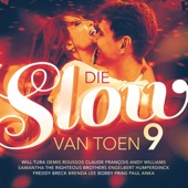 Die Slow Van Toen 9 artwork