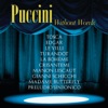 Puccini Without Words, 2002