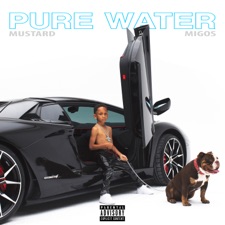 Pure Water artwork