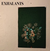 Exhalants - The Thorn You Carry In Yr Side