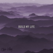 Build My Life artwork