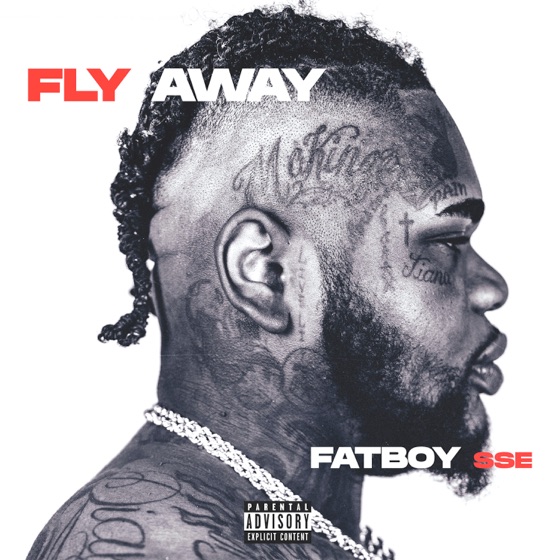 Cover artwork for Fly Away