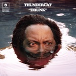 Thundercat - Friend Zone