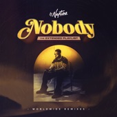 Nobody (Middle East Remix) artwork