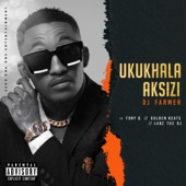 Ukukhala Aksizi (feat. Tony Q, Goldenbeats & Lubz the DJ) artwork