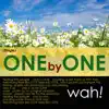 One by One - Single album lyrics, reviews, download